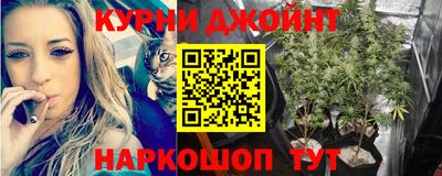 крисы Гусиноозёрск