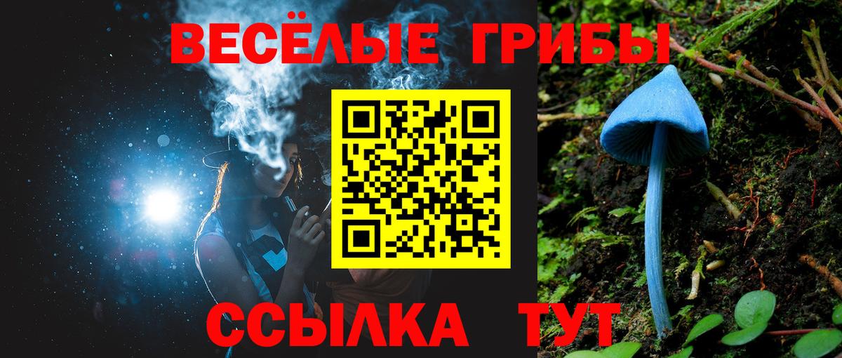 Галлюциногенные грибы MAGIC MUSHROOMS Можга
