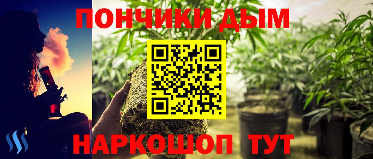 Можга  Марихуана индика  Вход с VPN  МАРИХУАНА тримм 